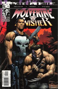 Wolverine/Punisher #2 (2004) Punisher