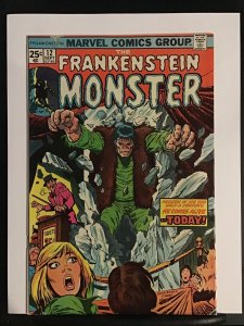 The Frankenstein Monster #12 (1974) Frankenstein Monster