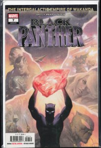 Black Panther #7  (2019) Black Panther