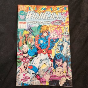 Millennium Edition: WildC.A.T.S.: Covert Action Teams 1 (2000) WildC.A.T.s