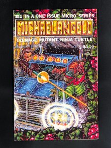 Michaelangelo: Teenage Mutant Ninja Turtles #1 (1985)