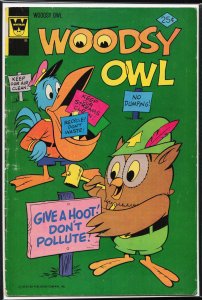Woodsy Owl #5 Woodsy Owl