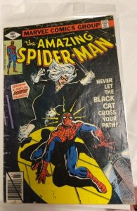 The Amazing Spider-Man #194 (1979)first app of the Black Cat needs a press