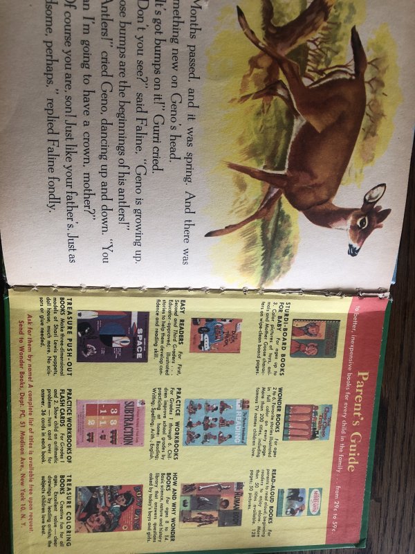 Bambi’s children by wonder book 1951