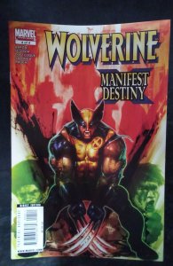 Wolverine: Manifest Destiny #4 (2009)