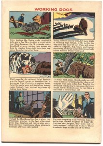 GREYFRIARS BOBBY #1189-JESSE MARSH ART-DELL FOUR COLOR--1961-DISNEY