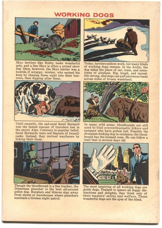 GREYFRIARS BOBBY #1189-JESSE MARSH ART-DELL FOUR COLOR--1961-DISNEY