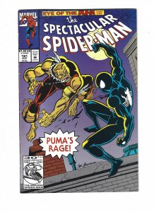 The Spectacular Spider-Man #191 Direct Edition (1992) sb2