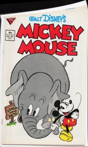 Mickey Mouse #231 (1987)