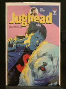 Jughead #1 (2015) Variant Cover