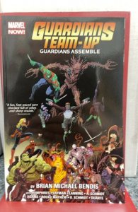 Guardians Team-Up: Guardians Assemble Trade