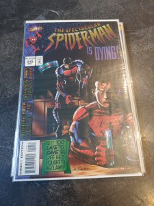 The Spectacular Spider-Man #219 (1994)