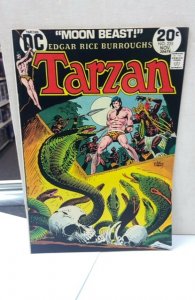 Edgar Rice Burroughs' Tarzan #225 (1973)