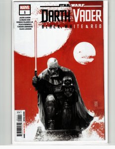 Star Wars: Darth Vader - Black, White & Red #1 (2023) Darth Vader