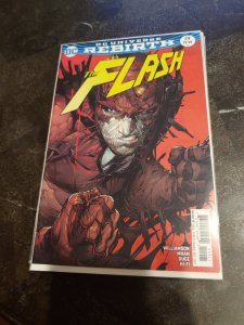 THE FLASH #29