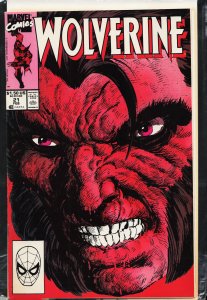 Wolverine #21 (1990) Wolverine