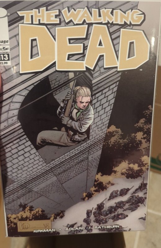 The Walking Dead #113 (2013) The Walking Dead 