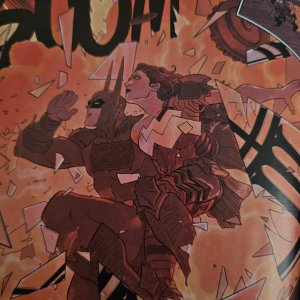 Absolute Wonder Woman 15 Hayden Sherman Cover Batman