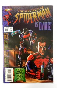 The Spectacular Spider-Man #219 (1994)