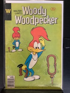 Walter Lantz Woody Woodpecker #171