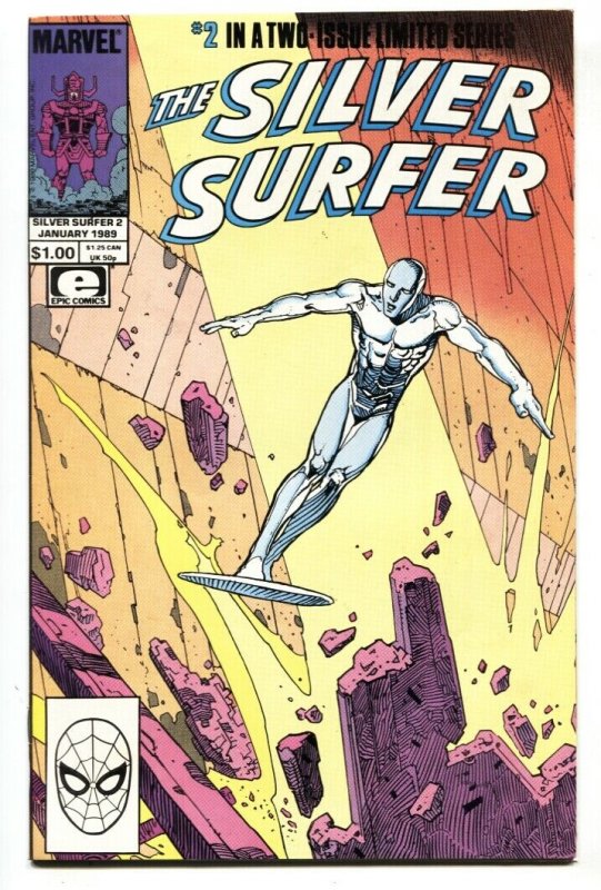 SILVER SURFER #2-1988 - MARVEL COMICS Epic-Moebius