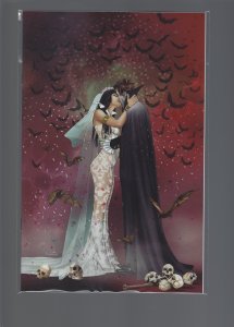 Vampirella 25 Variant