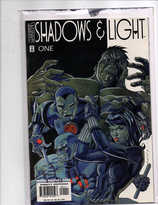 Marvel Comics (1998) Shadows & Light #1 Steve Ditko, Bernie Wrightson