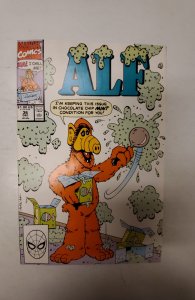 ALF #36 (1990) NM Marvel Comic Book J696