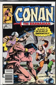 Conan the Barbarian #225 (1989) Conan
