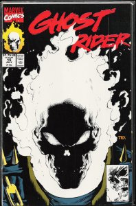 Ghost Rider #15 (1991) Ghost Rider