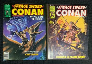 1978 SAVAGE SWORD OF CONAN Magazine #30 VG/FN 5.0 #31 VG 4.0 LOT of 2