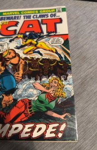 The Cat #4 (1973)stampede higher grade