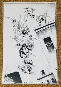 POWER RANGERS TEENAGE MUTANT NINJA TURTLES #3 1:50 VARIANT