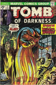 Tomb of Darkness #11 (1974)  VG- 3.5