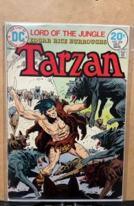Edgar Rice Burroughs' Tarzan #226 (1973)