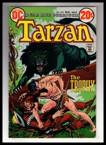 Edgar Rice Burroughs' Tarzan #218 (1973) / ECA5X