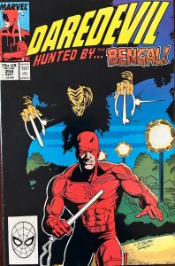 Daredevil #258 (1988)