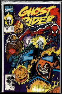 Ghost Rider #16 (1991) Ghost Rider