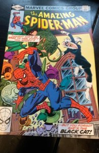 The Amazing Spider-Man #204 (1980)the black cat aplears