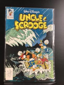 Uncle Scrooge #244 (1990)