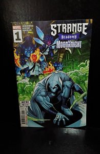 Strange Academy: Moon Knight #1 - one-shot (2023) Nick Bradshaw cvr