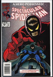 The Spectacular Spider-Man #208 (1994) Spider-Man