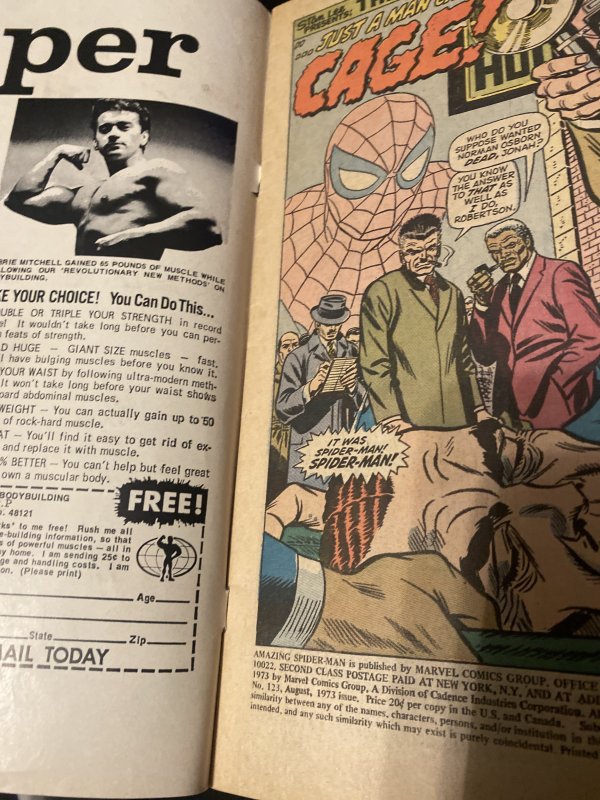 The Amazing Spider-Man #123 (1973) Guessstarring luke cage