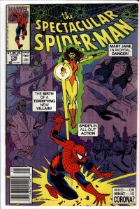 The Spectacular Spider-Man #176 (1991) Spider-Man [Key Issue]