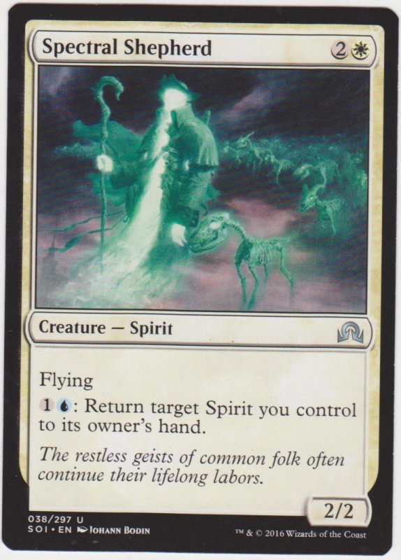 Magic the Gathering: Shadows Over Innistrad - Spectral Shepherd