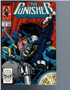 The Punisher #13 (1990)