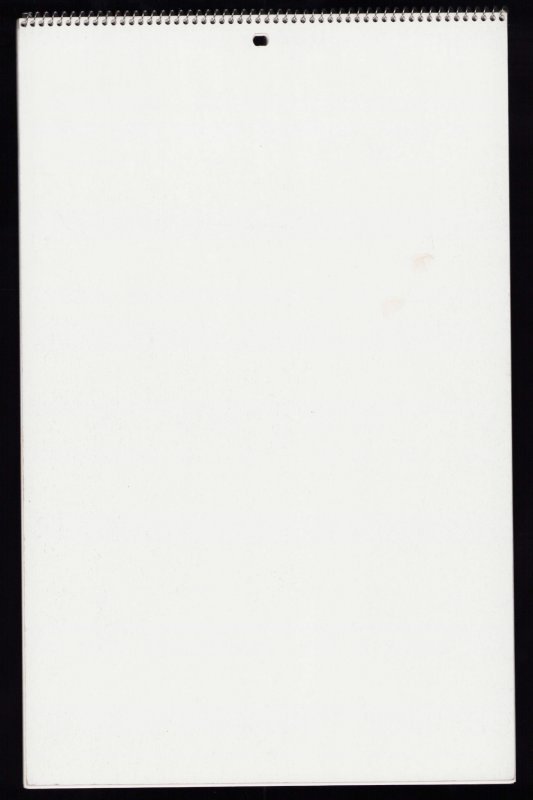 Playboy 1993 Playmate Calendar w/Corrina Harney cover - Spiral binding - FN+