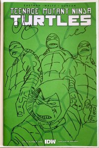 TEENAGE MUTANT NINJA TURTLES 1 GREEN SHELL BLANK - SKETCHED / SIGNED ESCORZAS