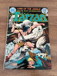 Tarzan # 227 VG/FN DC Comic Book Joe Kubert Edgar Rice Burroughs Jungle 6 J454