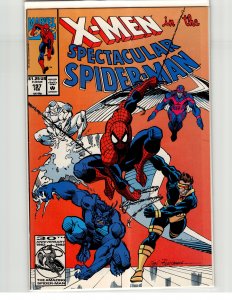 The Spectacular Spider-Man #197 (1993) Spider-Man